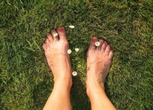 copyright: Dorothea Jacob  / pixelio.de